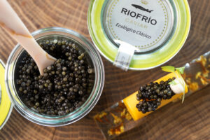 RIOFRIO-SOLLO-RWEB (29)